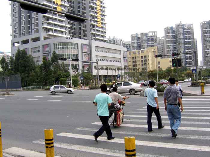 LED Traffic Light in China