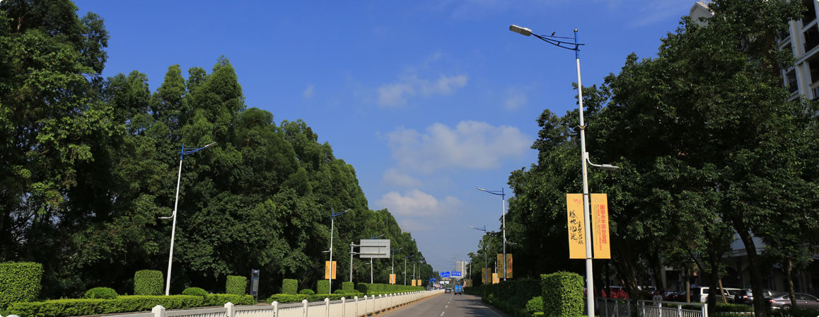 LED Street Lights