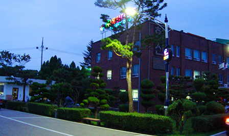 LED Street Light in Korea