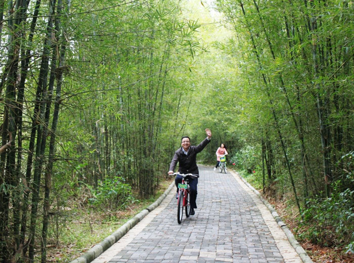 Green Bicycle Travelling in Zengcheng