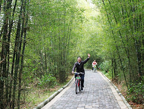 Green Bicycle Travelling in Zengcheng